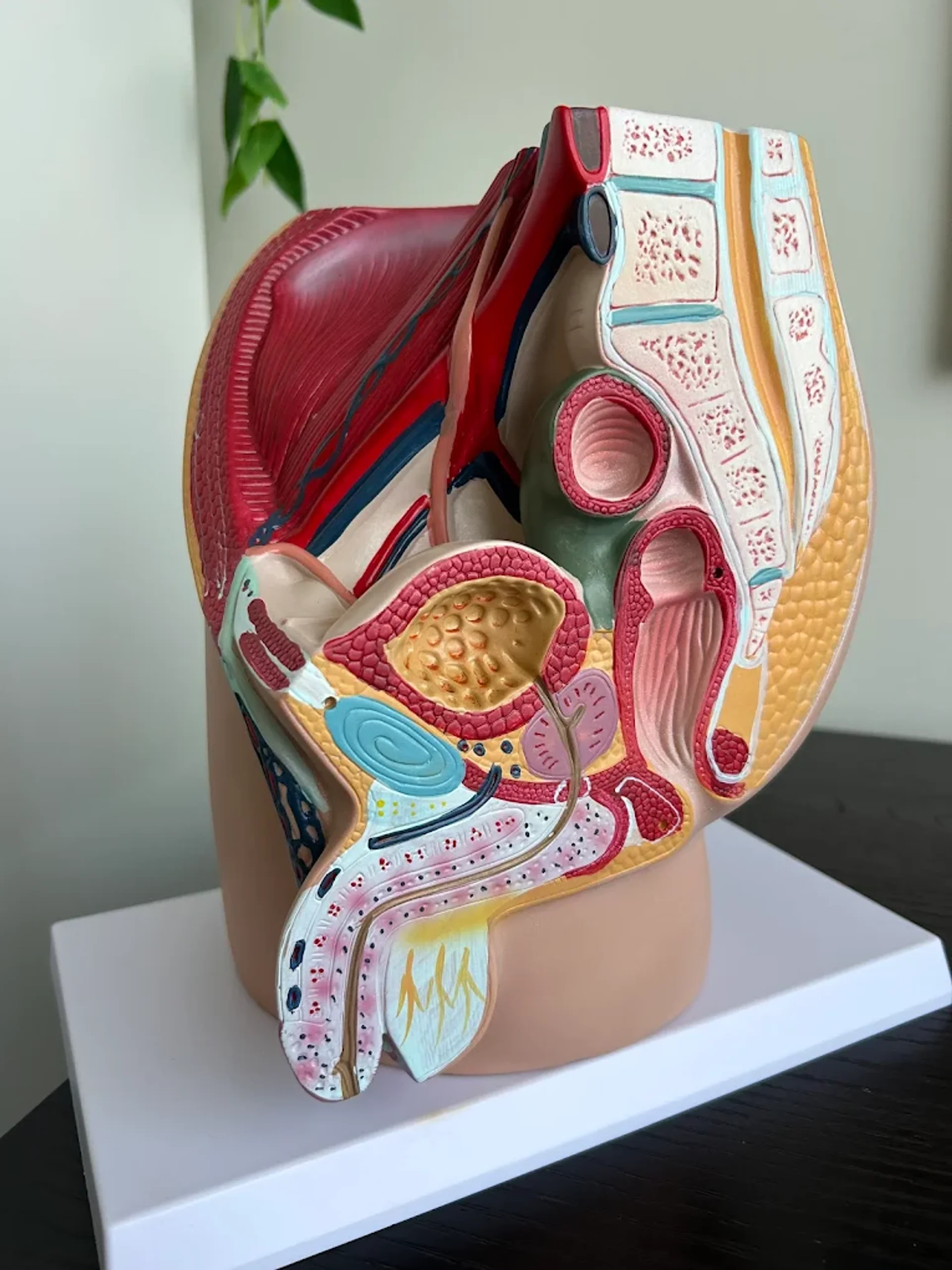 Physiotherapy treatment room at At Ease Physio